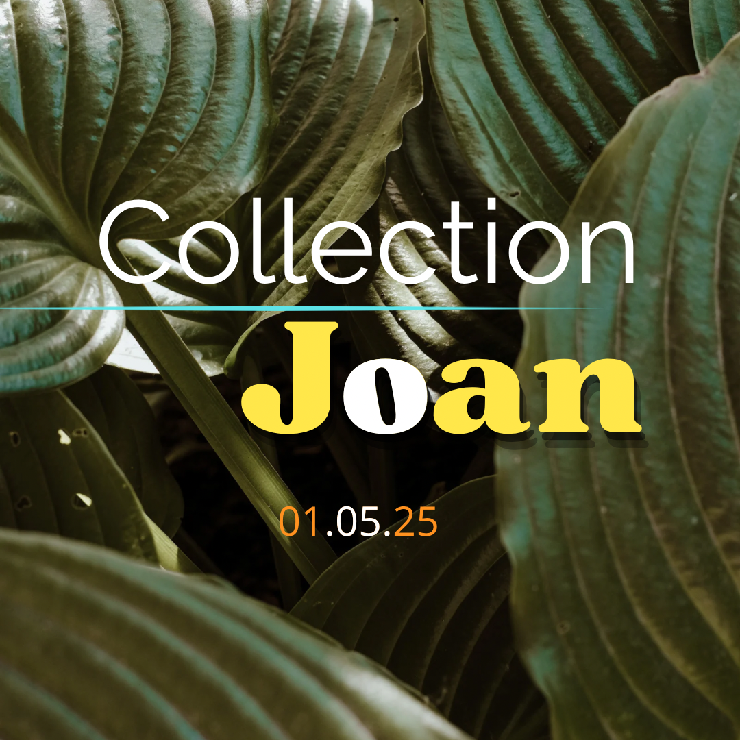 Sac JOAN